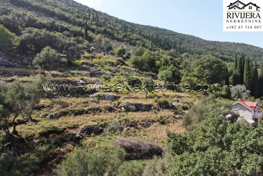 Rivijera_nekretnine_prodaja_plac_land_zemljiste_Zvinje_Igalo_Boka_bay_Montenegro (4)