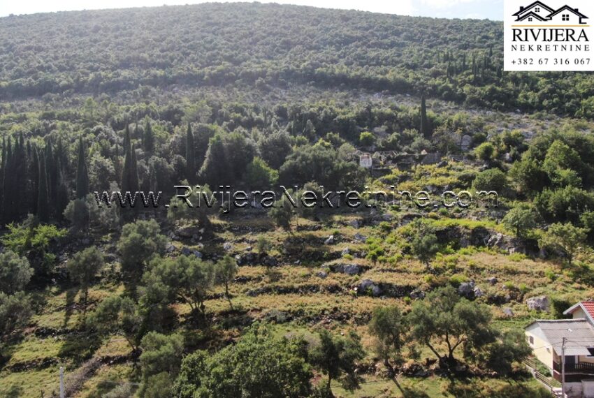 Rivijera_nekretnine_prodaja_plac_land_zemljiste_Zvinje_Igalo_Boka_bay_Montenegro (5)