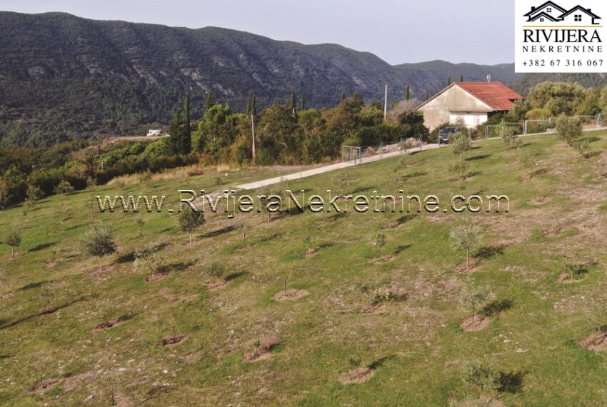 Rivijera_nekretnine_prodaja_plac_zemljiste_Ratisevina_land_igalo_Boka_bay_Montenegro (7)