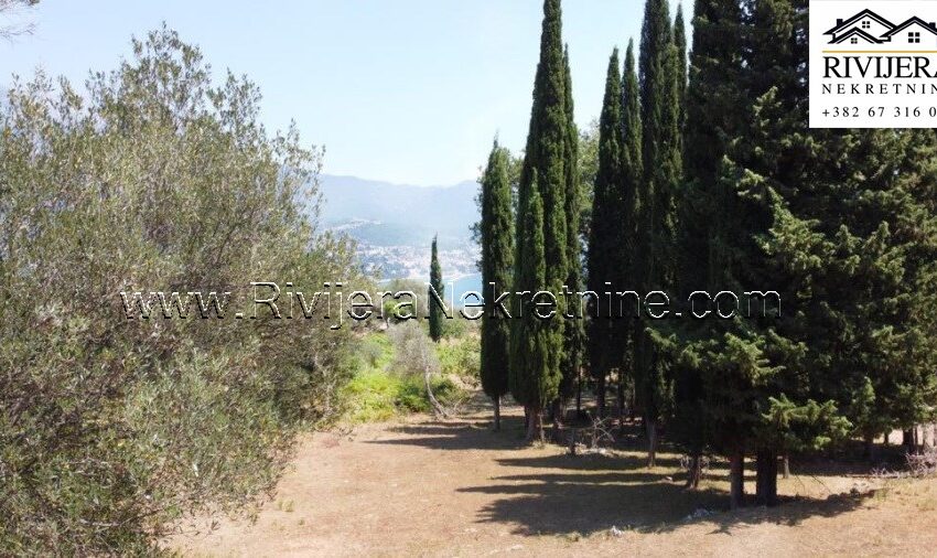 prodaja_zemljista_plac_sale_zvinje_herceg novi (2)