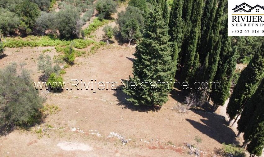 prodaja_zemljista_plac_sale_zvinje_herceg novi (5)