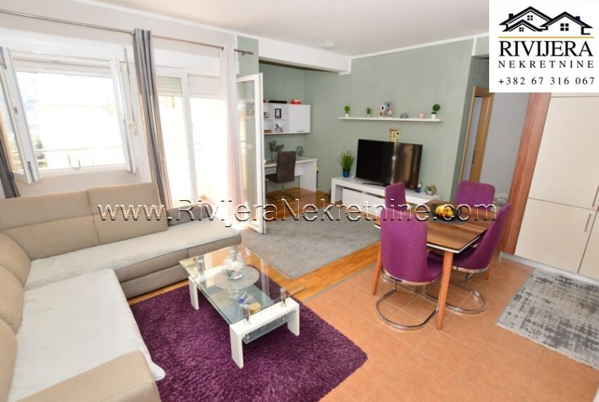 Stan_prodaja_igalo_Sale_rivijera_nerketnine (2)