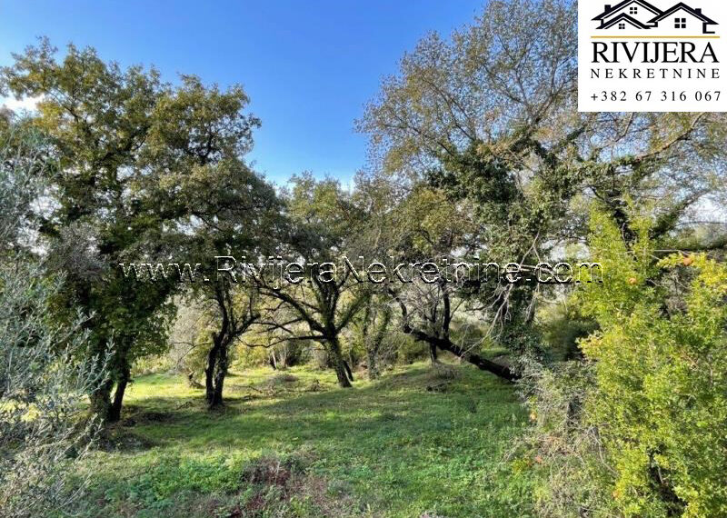 plac_kavac_prodaja_Sale_rivijera_Nekretnine_ (1)