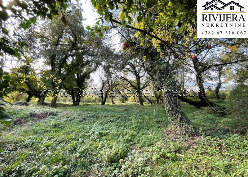 plac_kavac_prodaja_Sale_rivijera_Nekretnine_ (2)