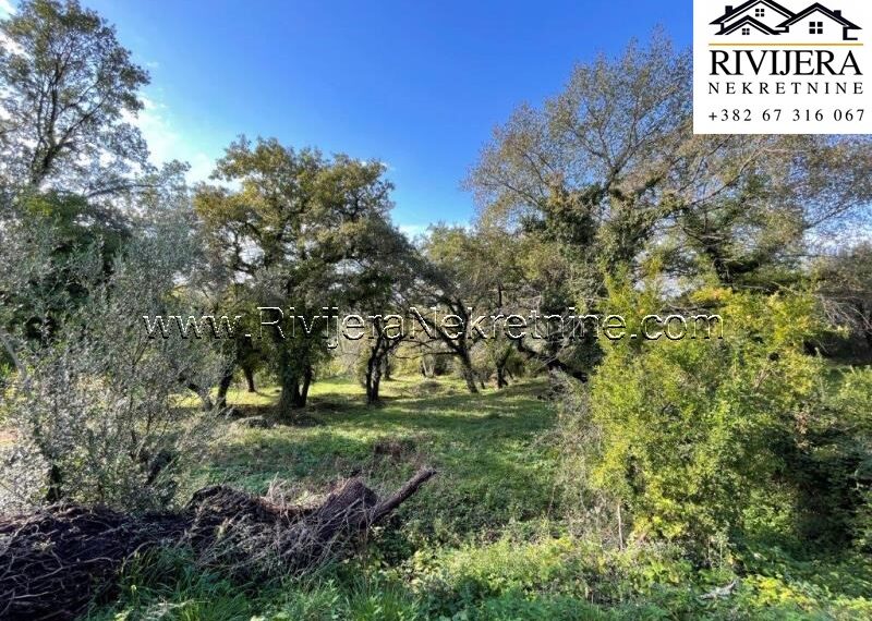 plac_kavac_prodaja_Sale_rivijera_Nekretnine_ (3)