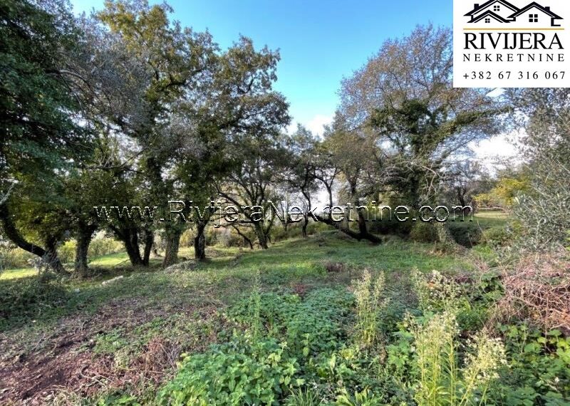 plac_kavac_prodaja_Sale_rivijera_Nekretnine_ (4)