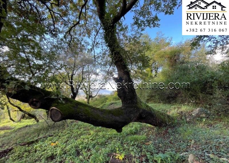 plac_kavac_prodaja_Sale_rivijera_Nekretnine_ (6)