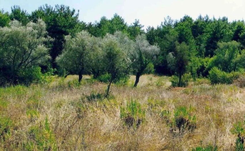 plac_plotland_prodaja_Sale_kotor_rivijera_Nekretnine_ (1)