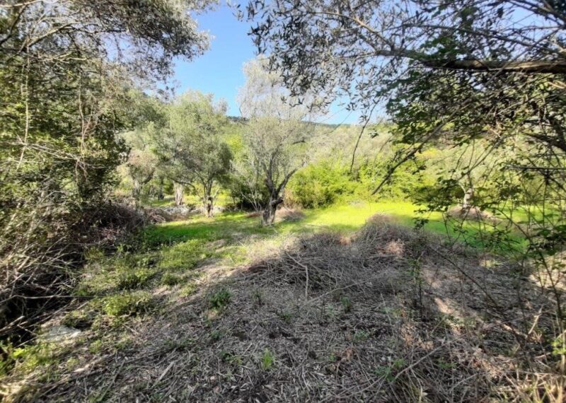 plac_plotland_prodaja_Sale_kotor_rivijera_Nekretnine_ (3)