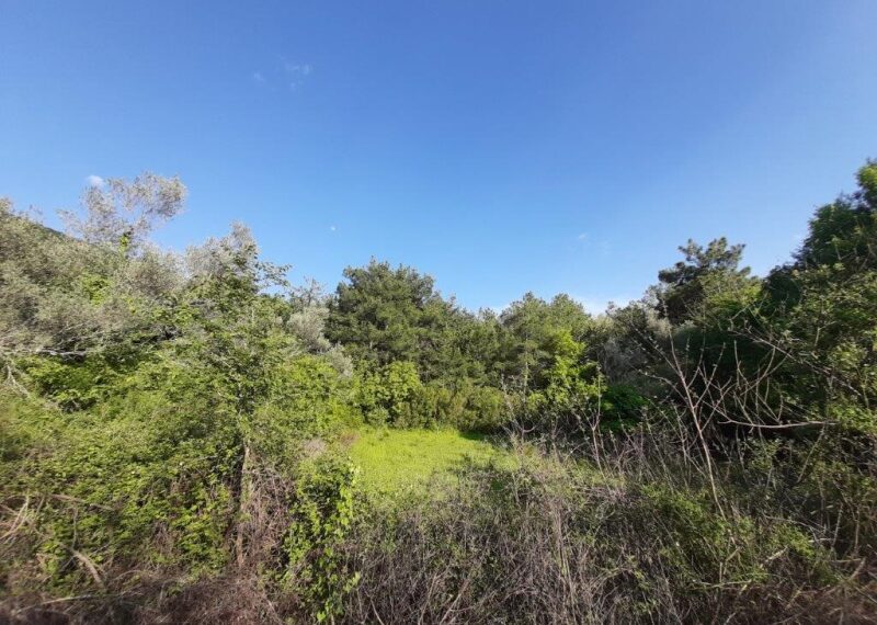 plac_plotland_prodaja_Sale_kotor_rivijera_Nekretnine_ (4)