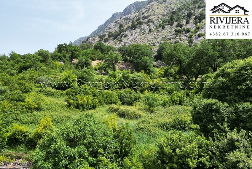 Plac_Zlatne_njive_Rivijera_Nekretnine_Kotor 16