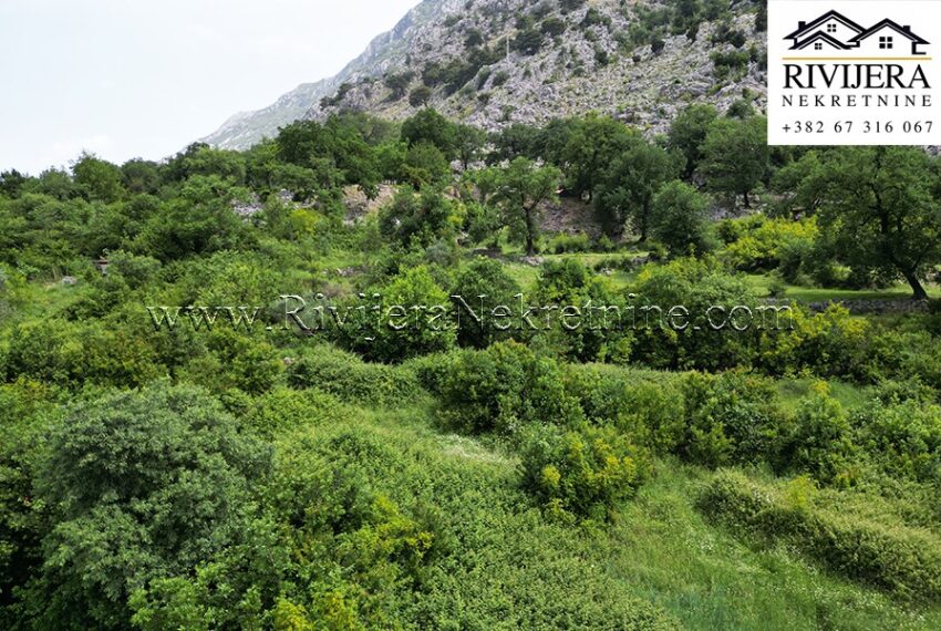 Plac_Zlatne_njive_Rivijera_Nekretnine_Kotor 2