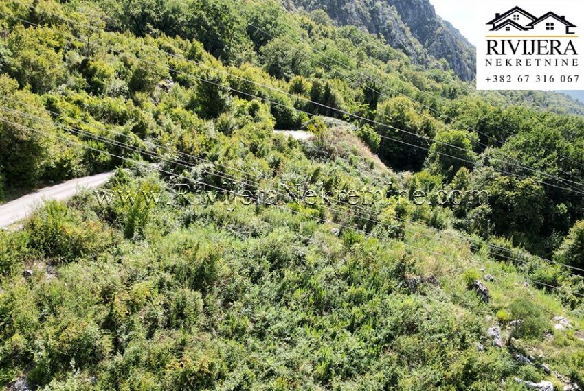 Plac_Kotor_Risan_new 5