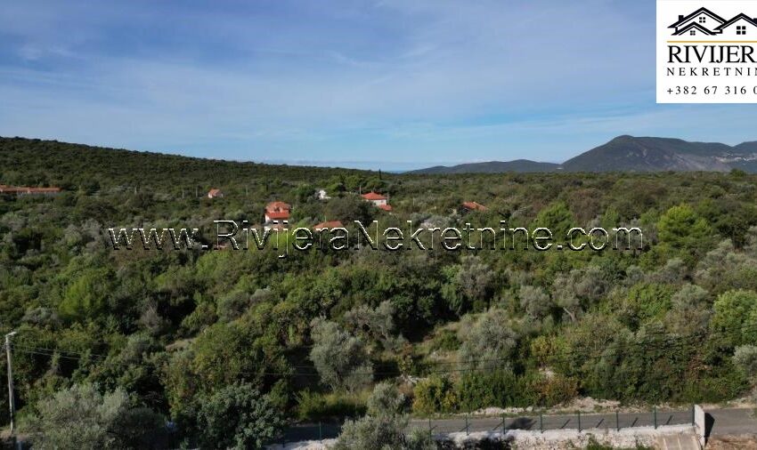 Prodaja_plac_Mrkovi_landplot_plot_Sale_urbanized_rivijera_Nekretnine_ (5)