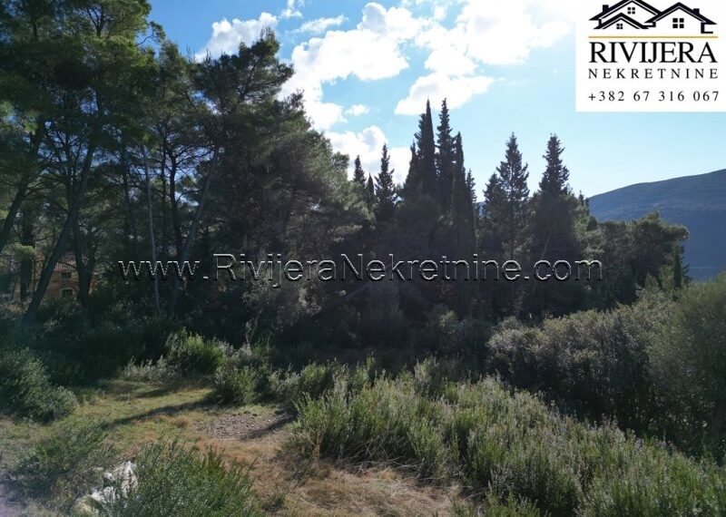 Mojdez_plac_land_plot_land_Herceg_Novi_Rivijera_Nekretnine_oglasi_ (2)
