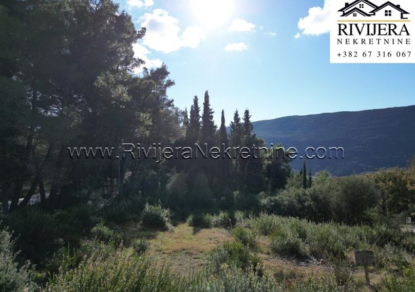 Mojdez_plac_land_plot_land_Herceg_Novi_Rivijera_Nekretnine_oglasi_ (3)