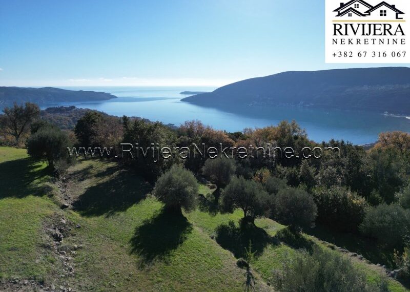 Trebesinj_plac_landplot_land_Herceg_novi_Rivijera_Nekretnine_oglasi_sale_ (1)