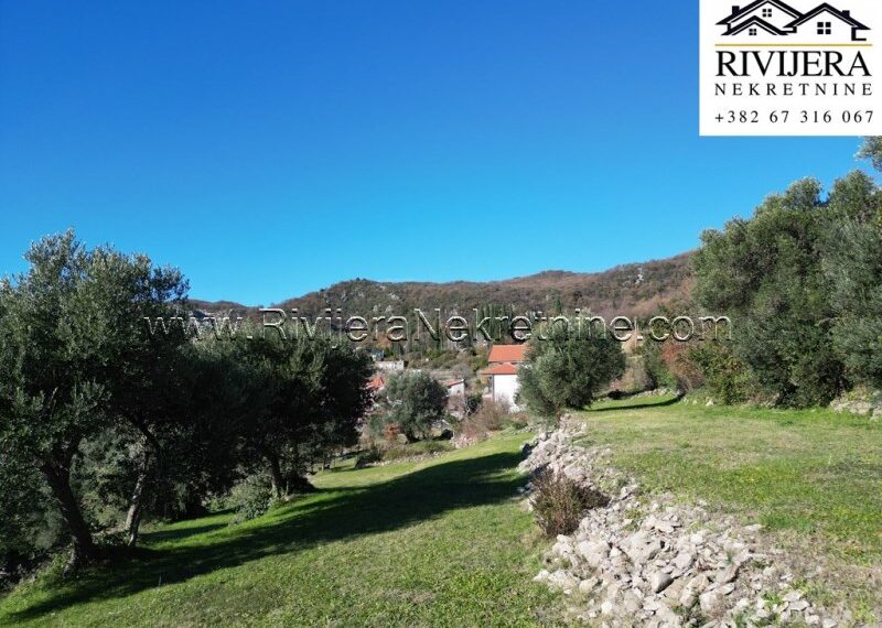 Trebesinj_plac_landplot_land_Herceg_novi_Rivijera_Nekretnine_oglasi_sale_ (2)