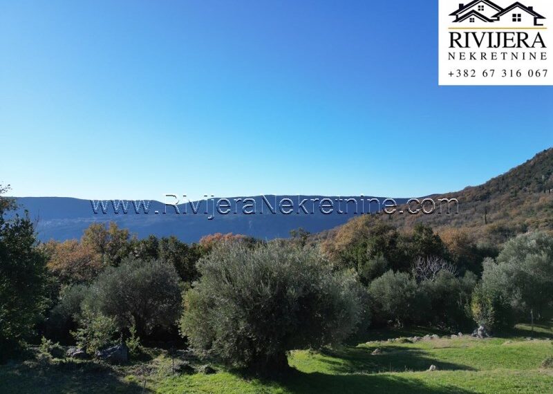 Trebesinj_plac_landplot_land_Herceg_novi_Rivijera_Nekretnine_oglasi_sale_ (3)
