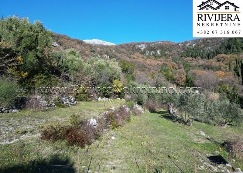 plac_landplot_land_Rivijera_Nekretnine_oglasi_sale_prodaja_Herceg_Novi_ (2)