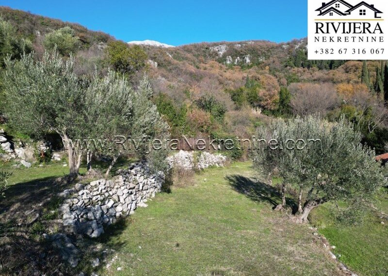 plac_landplot_land_Rivijera_Nekretnine_oglasi_sale_prodaja_Herceg_Novi_ (5)