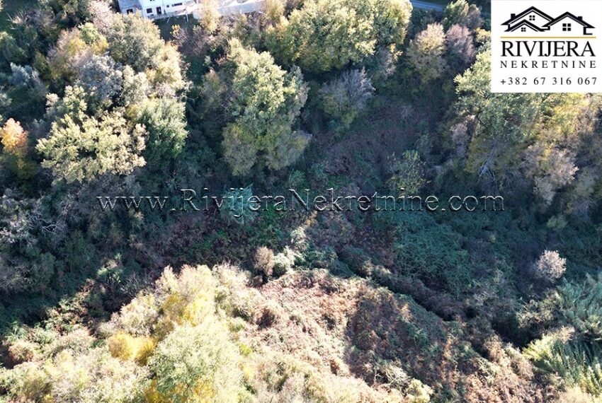 Plac_Kotor_Pelinovo_Rivijera_Nekretnine_new 4