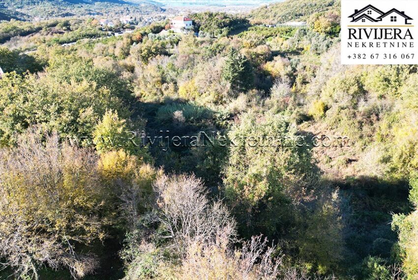 Plac_Kotor_Pelinovo_Rivijera_Nekretnine_new 8