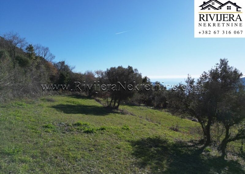 Trebesin_Herceg_Novi_plac_prodaja_plot_land_sale_Rivijera_Nekretnine_ (3)