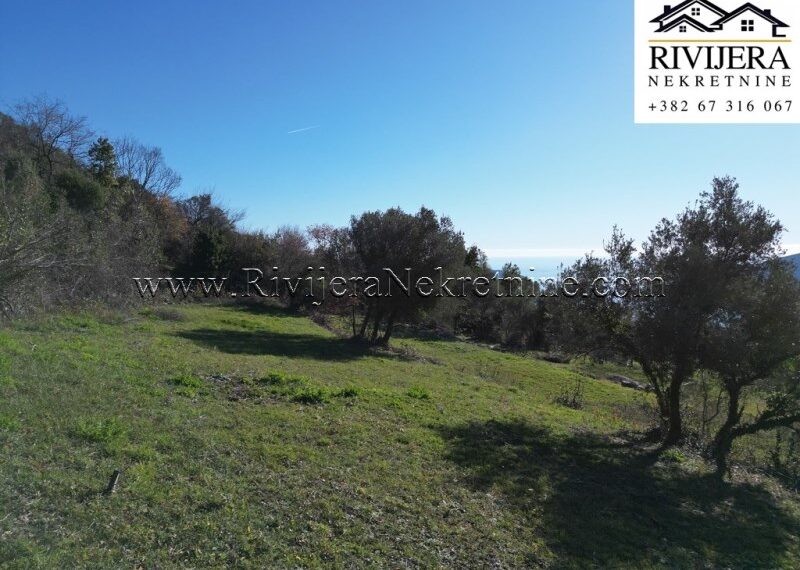 Trebesin_Herceg_Novi_plac_prodaja_plot_land_sale_Rivijera_Nekretnine_ (4)