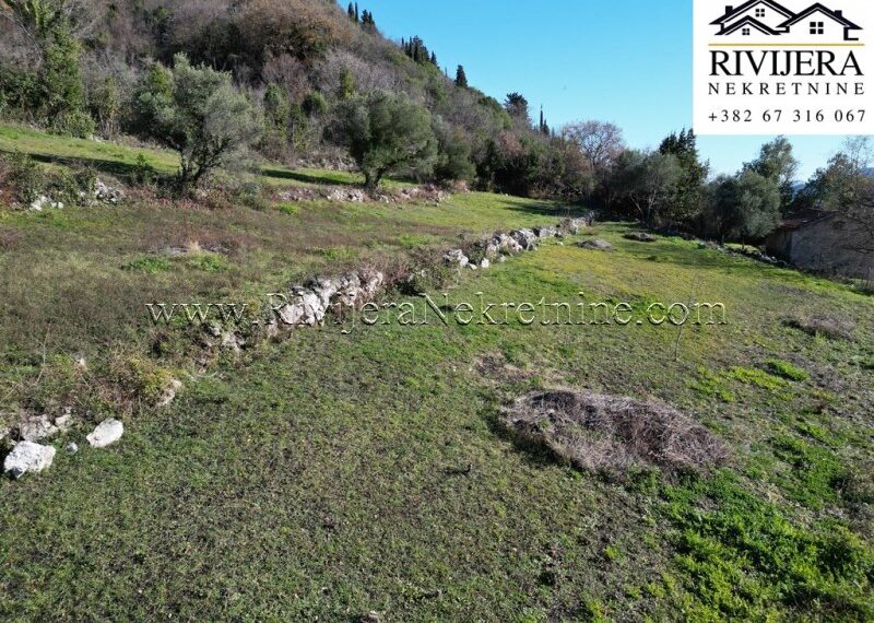 Trebesin_Herceg_Novi_plac_prodaja_plot_land_sale_Rivijera_Nekretnine_ (5)