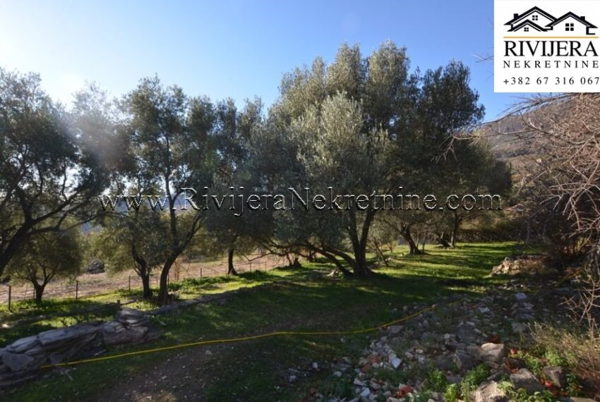 prodaja_sale_plac_kuca_Sale_house_Rivijera_Nekretnine_oglasi_Ads_ (5)
