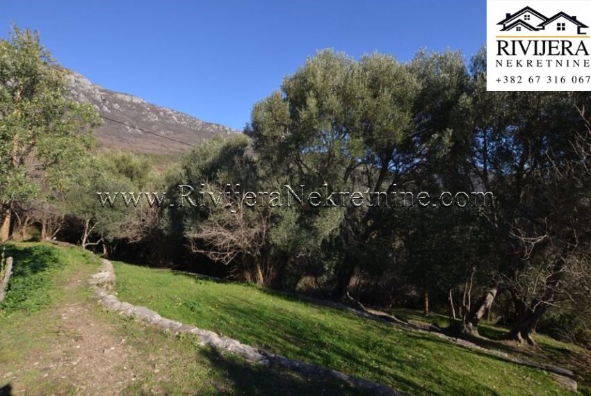 prodaja_sale_plac_kuca_Sale_house_Rivijera_Nekretnine_oglasi_Ads_ (6)