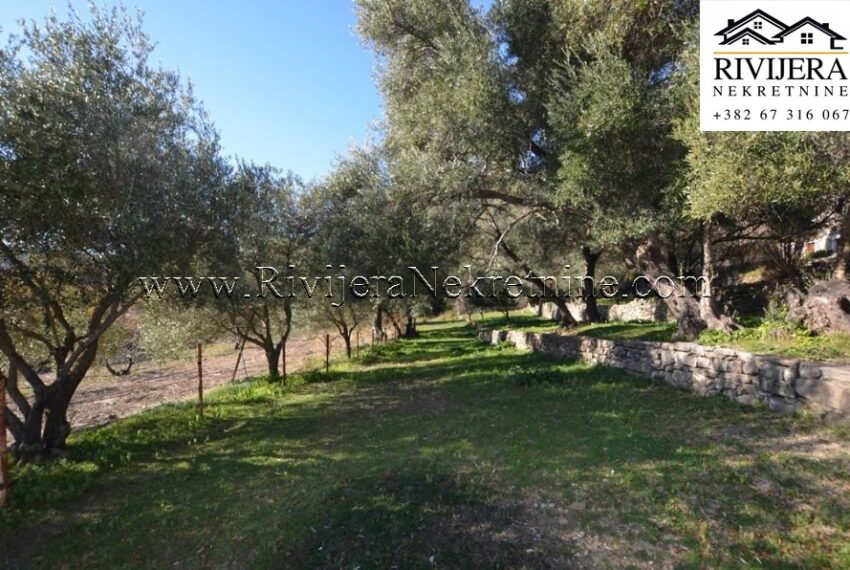 prodaja_sale_plac_kuca_Sale_house_Rivijera_Nekretnine_oglasi_Ads_ (7)