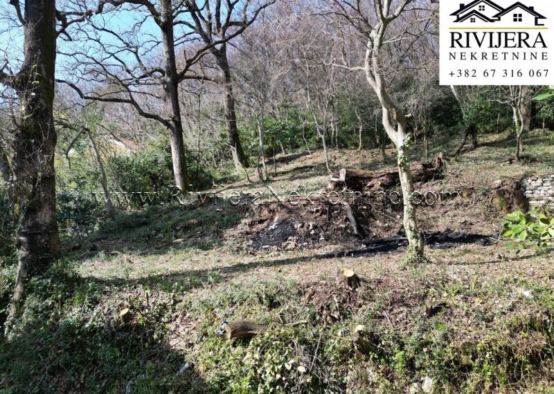 prodaja_Sale_plac_land_landplot_Rivijera_Nekretnine_oglasi_Ads_Zelenika_Herceg_Novi_ (6)