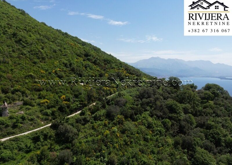 Prodaja_prodaza_sale_Rivijera_nekretnine_oglasi_Ads_Baosici_Herceg-Novi_plac_land_ (6)