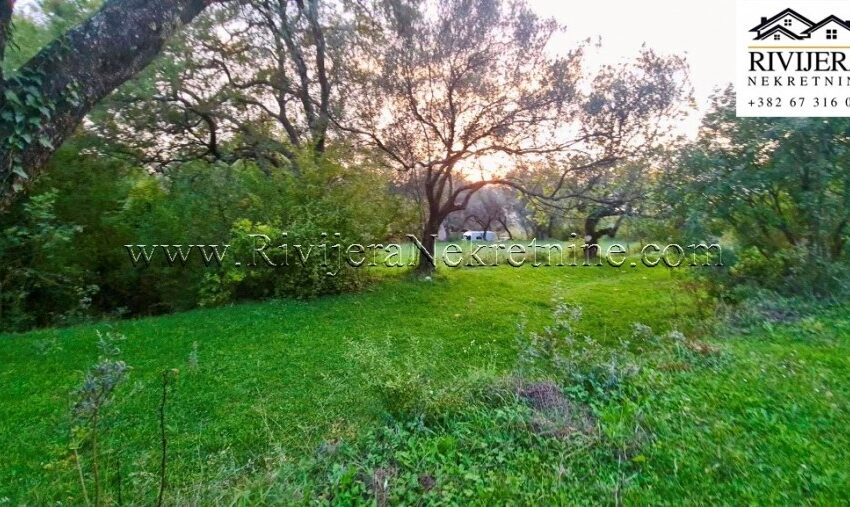 prodaja_Sale_Rivijera_Nekretnine_oglasi_Ads_Kavac_Kotor_plac_zemlja_land_ (4)