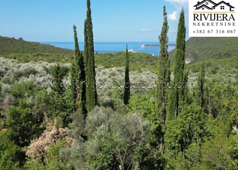 prodaja_Sale_Rivijera_Nekretnine_oglasi_Ads_kuca_house_Lustica_Lustica_bay_(6)