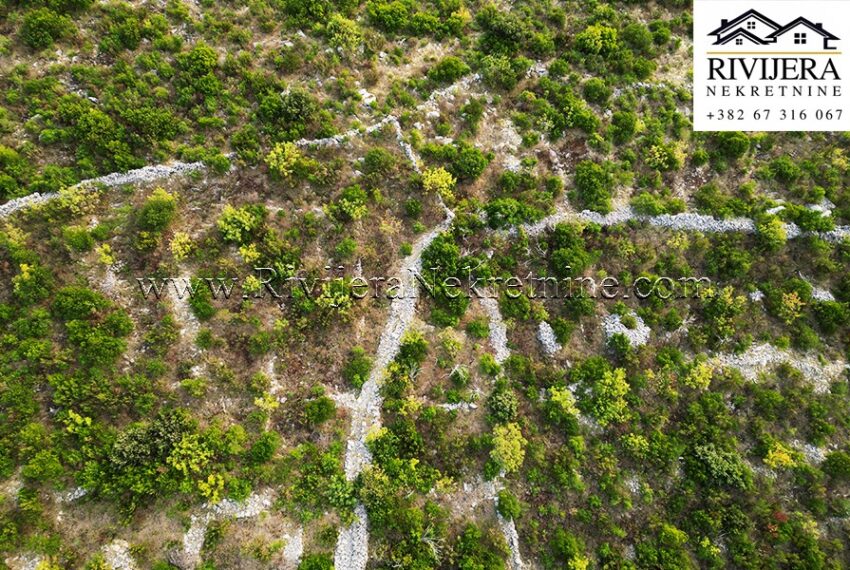 Plac Glavaticici_Kotor_Rivijera 3
