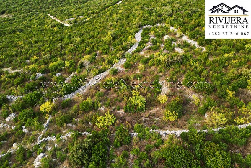 Plac Glavaticici_Kotor_Rivijera 5