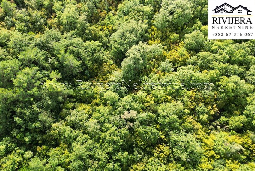 Plac_Dub_Rivijera_Nekretnine 5