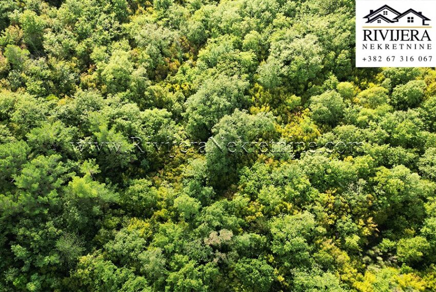 Plac_Dub_Rivijera_Nekretnine 7
