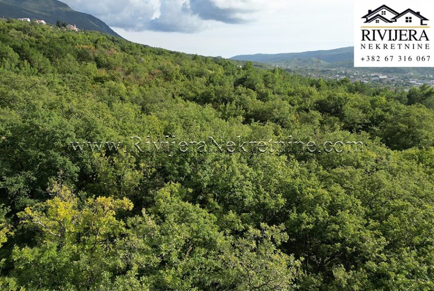 Plac_Dub_Rivijera_Nekretnine 8