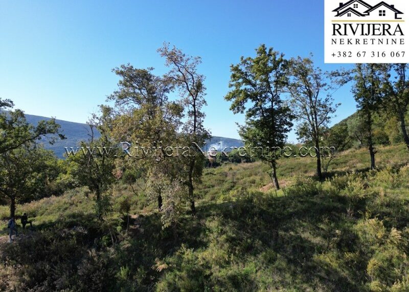 prodaja_Rivijera_Nekretnine_Ad_ads_Djenovic_Herceg_Novi_lan_landplot_plac_ (2)