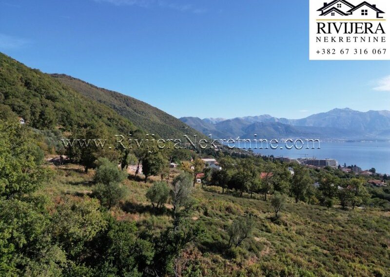 prodaja_Rivijera_Nekretnine_Ad_ads_Djenovic_Herceg_Novi_lan_landplot_plac_ (5)