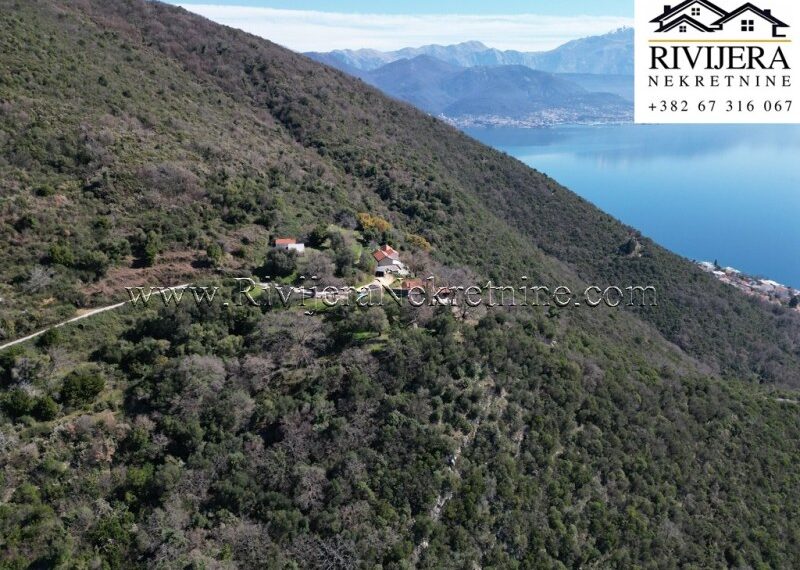 prodaja_Sale_rivijera_Nekretnine_Ad_ads_oglasi_baosici_Herceg_novi_lan_plot_plac_zemlja _realestae_(11)