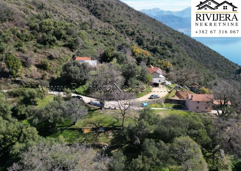 prodaja_Sale_rivijera_Nekretnine_Ad_ads_oglasi_baosici_Herceg_novi_lan_plot_plac_zemlja _realestae_(12)
