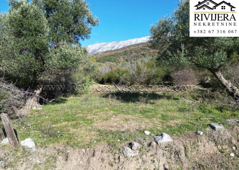 prodaja_Sale_rivijera_Nekretnine_Ad_Ads_oglasi_Mojdez_plac_landplot_land_Herceg_novi_ (3)