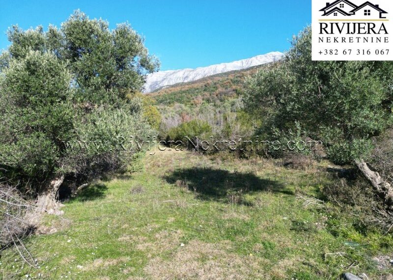 prodaja_Sale_rivijera_Nekretnine_Ad_Ads_oglasi_Mojdez_plac_landplot_land_Herceg_novi_ (4)