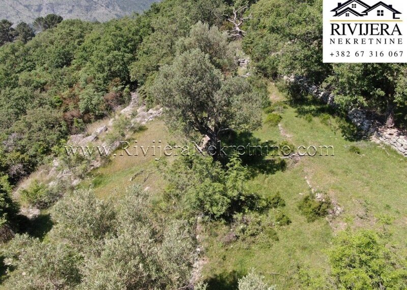 prodaja_Sale_Rivijera_Nekretnine_Ads_oglasi_Plac_Zemlja_Plot_landplot_land_Herceg_Novi_ (4)